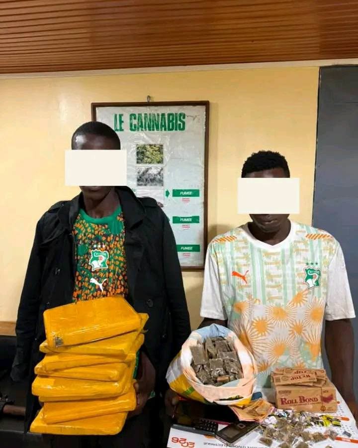 BOUAKÉ : DEUX INDIVIDUS INTERPELLÉS POUR TRAFIC DE DROGUE