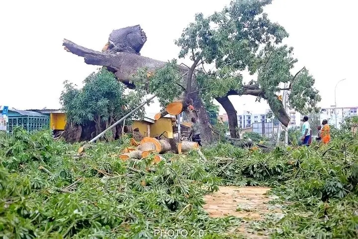 Bouaké : Effondrement d’un fromager la nuit : 3 morts, et plusieurs blessés graves